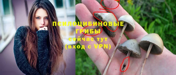 метадон Алексин