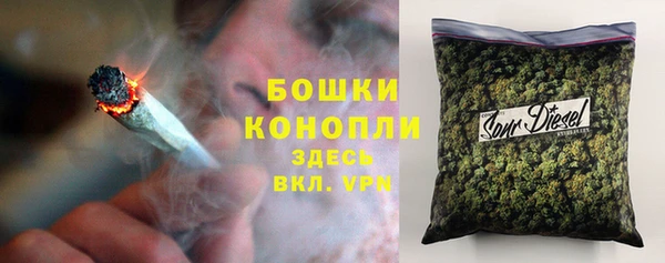 spice Аркадак